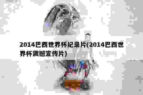 2014年巴西世界杯纪录 2014年巴西世界杯纪录片